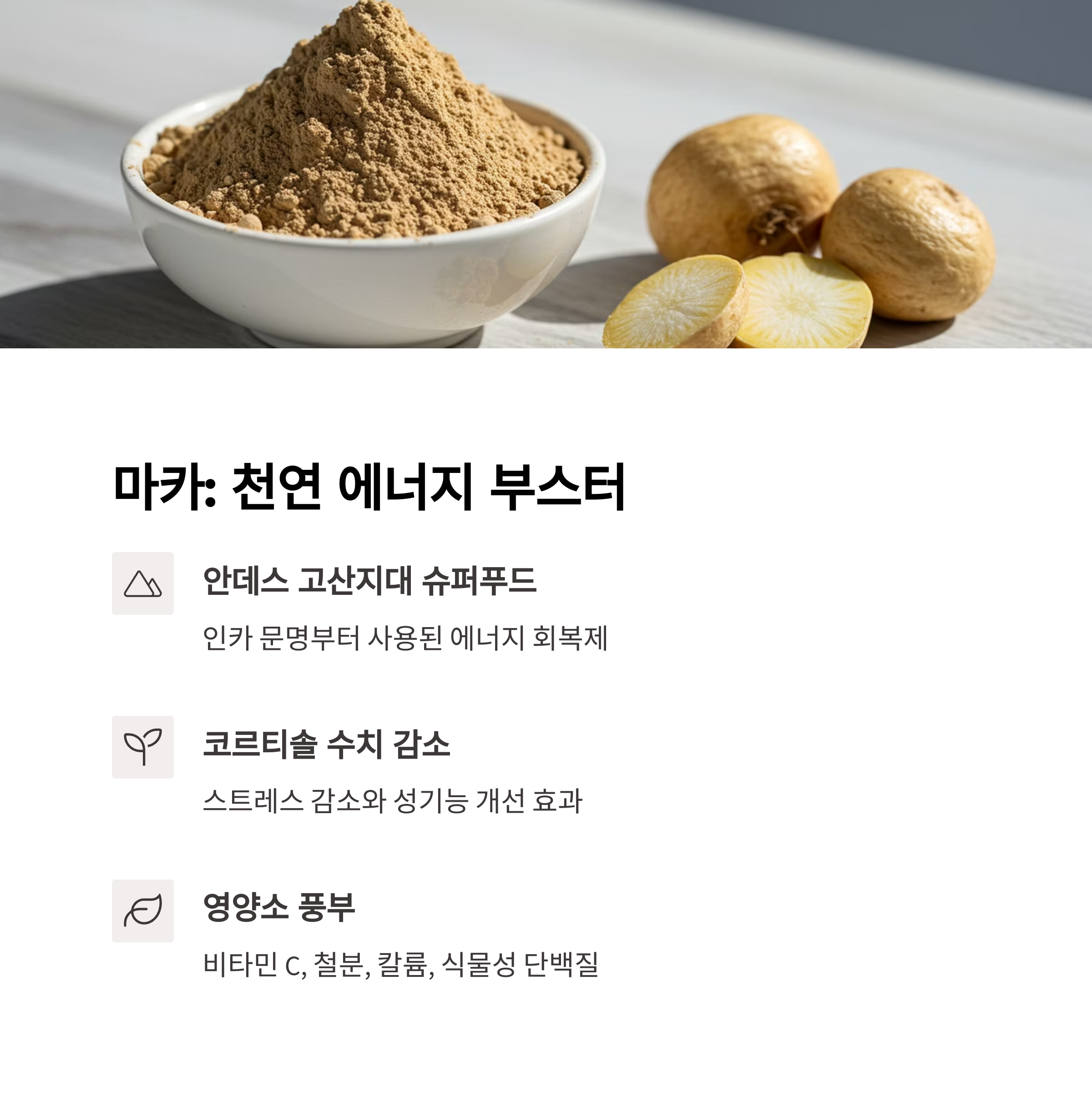 마카 (Maca): 천연 에너지 부스터