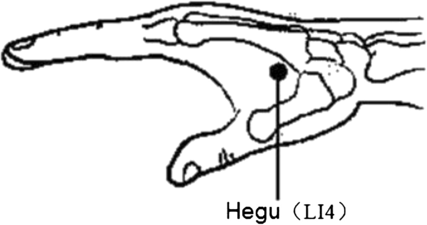 혈자리 지압: 매일 2분 생활습관으로 삶을 바꾸세요