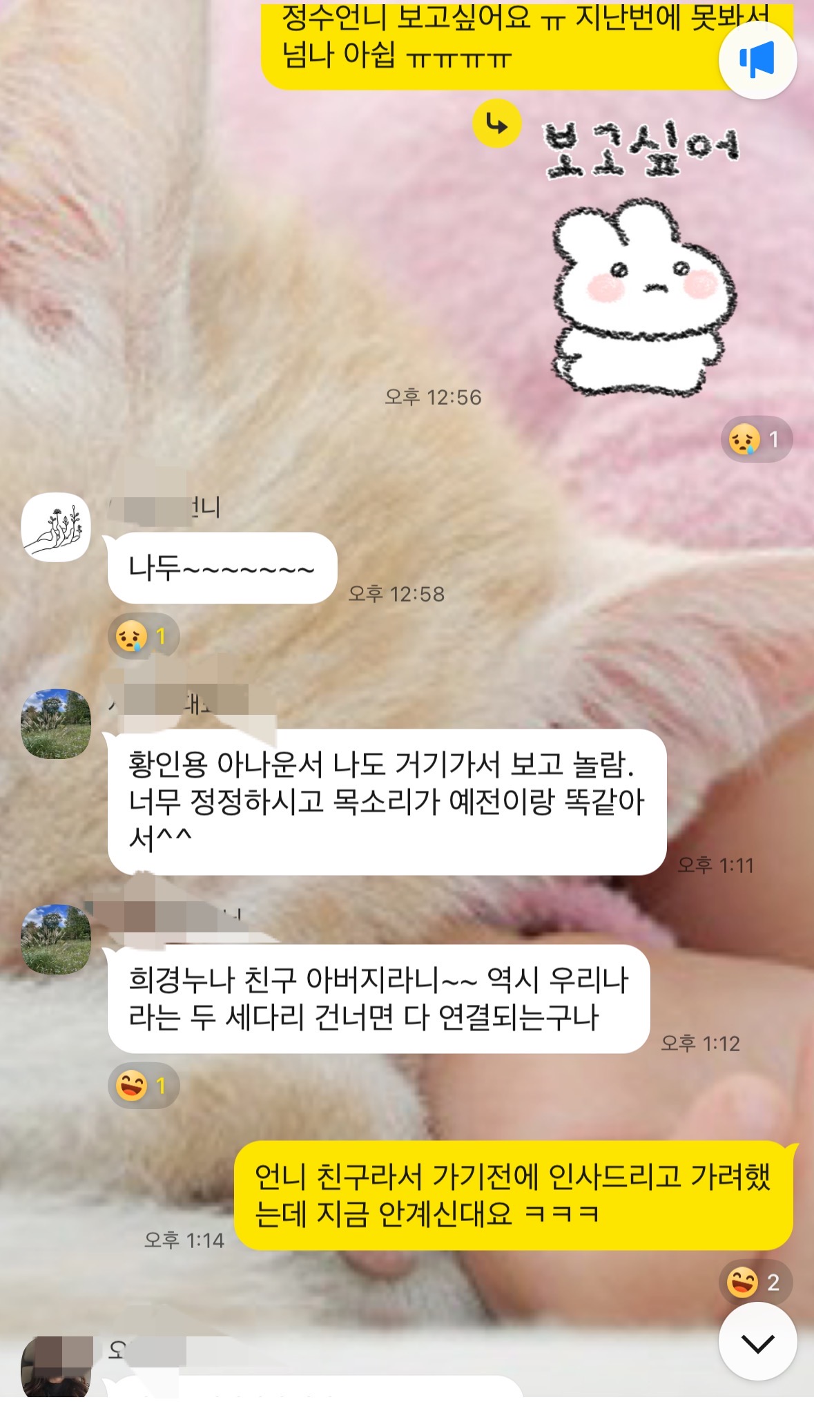 황인용 뮤직 스페이스 카메라타 방문 후 지인들과 나눈 음악 관련 단톡방 대화 캡처