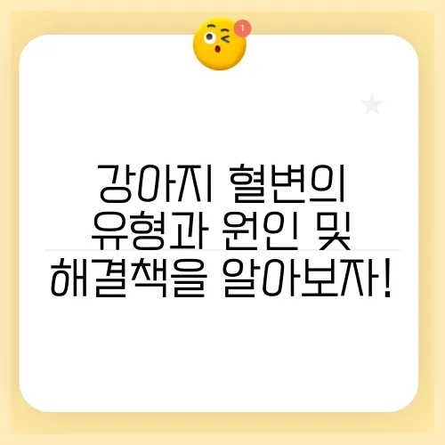 강아지 혈변의 유형과 원인 및 해결책을 알아보자!