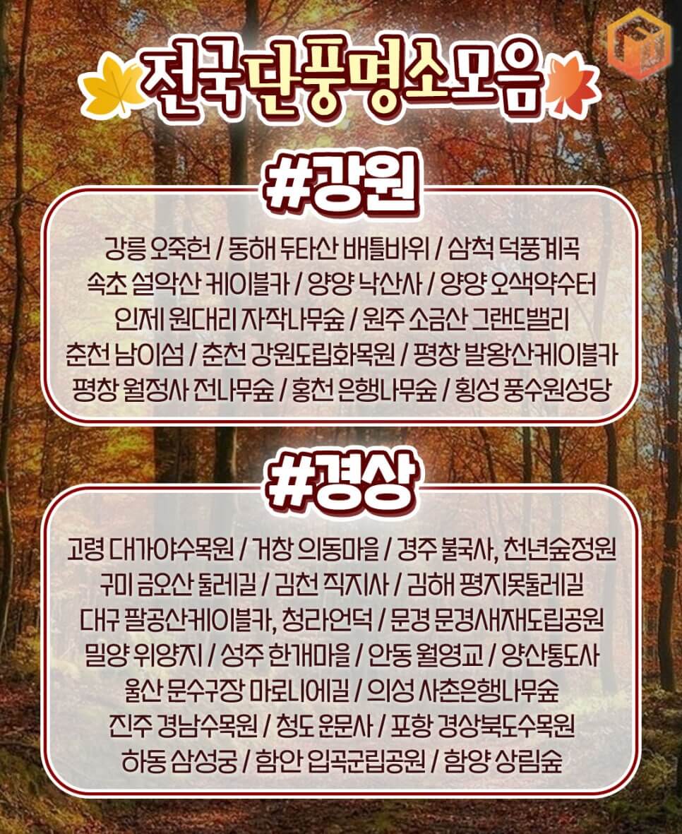 2024 가을축제 단풍명소 모음