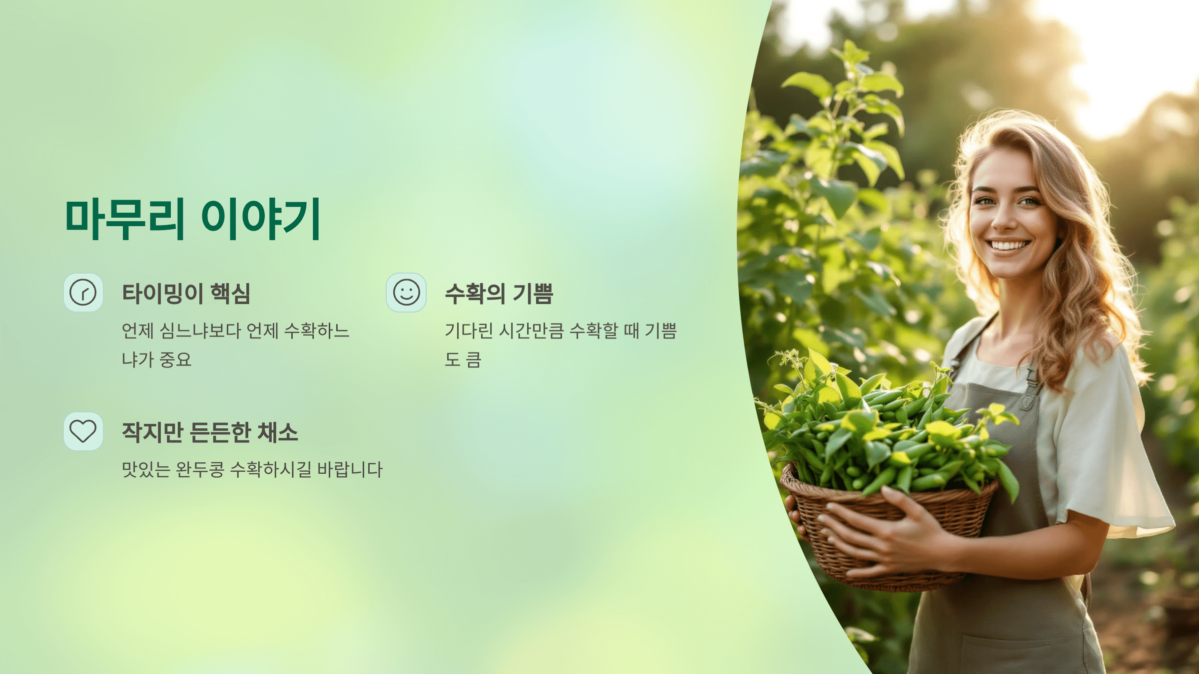 완두콩 사진입니다.