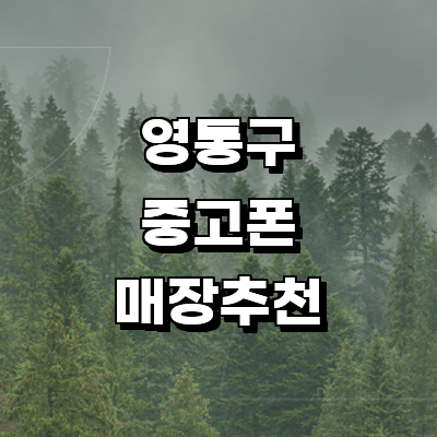 수원 영통구 중고폰