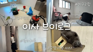"고양이