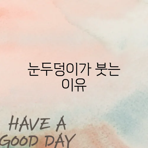 눈두덩이가 붓는 이유