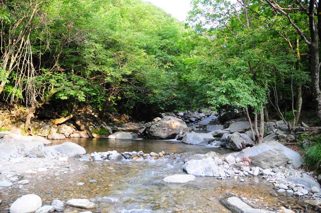 재벌집 막내아들&amp;#44; 환생과 복수의 화려한 서막