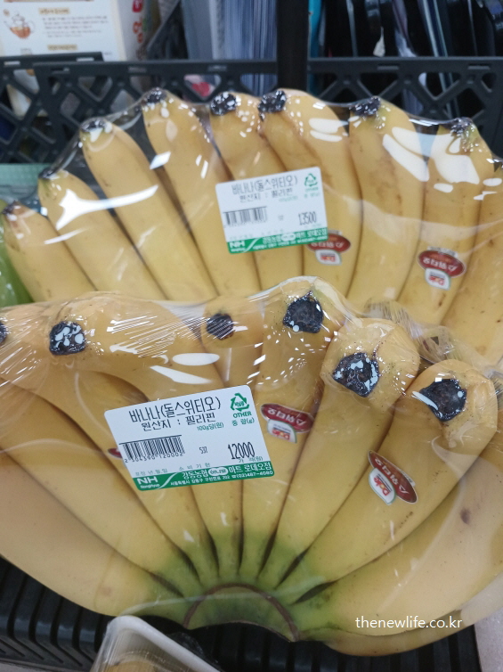 아침 공복 커피 부작용을 줄이는 음식 바나나, 수용성 식이섬유와 칼륨이 풍부해 위 점막을 보호하고 속쓰림을 완화