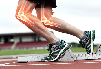 무릎 관절 운동