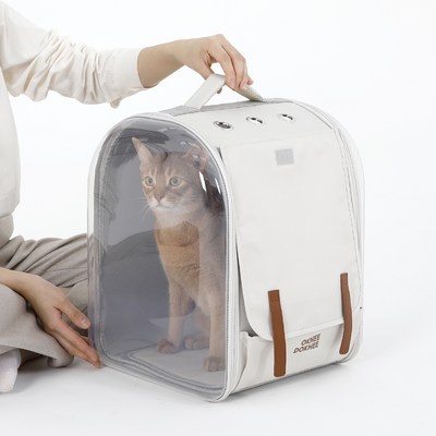 레토강아지이동가방고양이가방