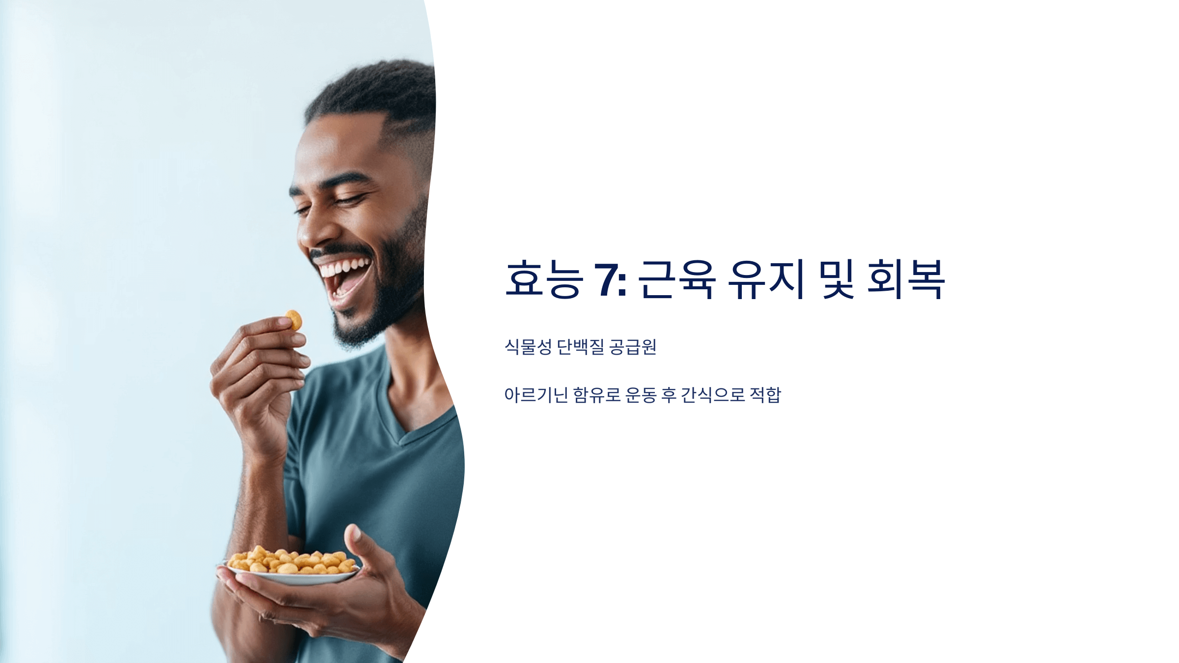 땅콩 사진입니다.
