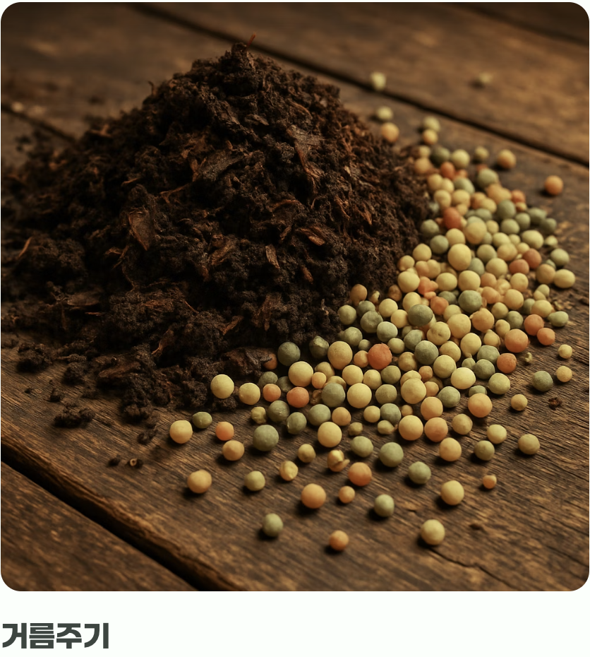 과한 사랑은 금물, 물과 거름주기