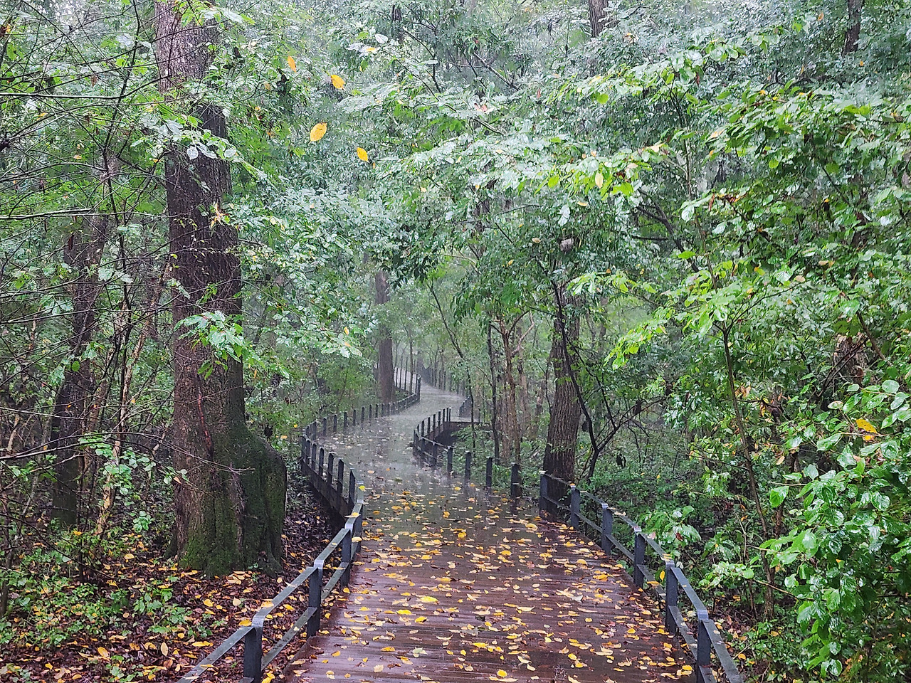 포천 가볼만한곳 베스트10