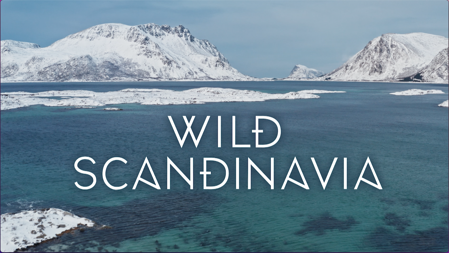 프레임레이트변환