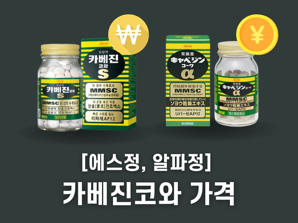 일본 카베진 가격