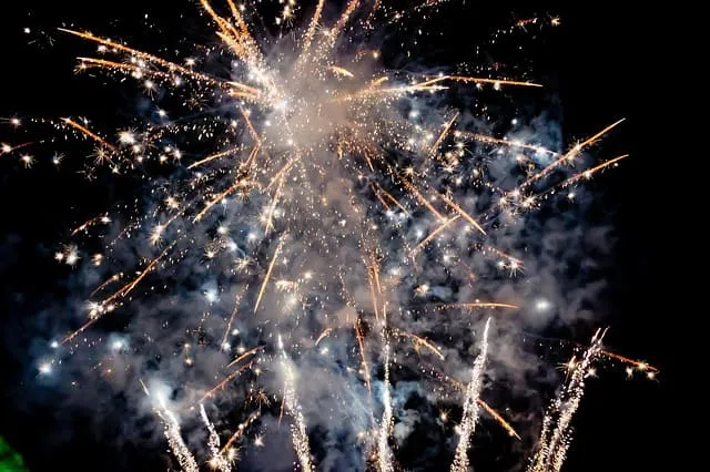 2025 9월 동행축제 개막!