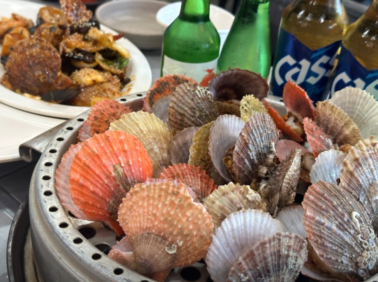 6시내고향 홍가리비코스요리 홍가리비찜