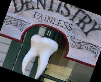 이모튼 캡슐 효능 부작용 가격