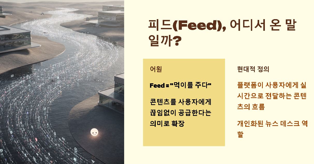 피드의 뜻