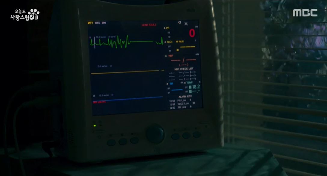 오늘도사랑스럽개_11회