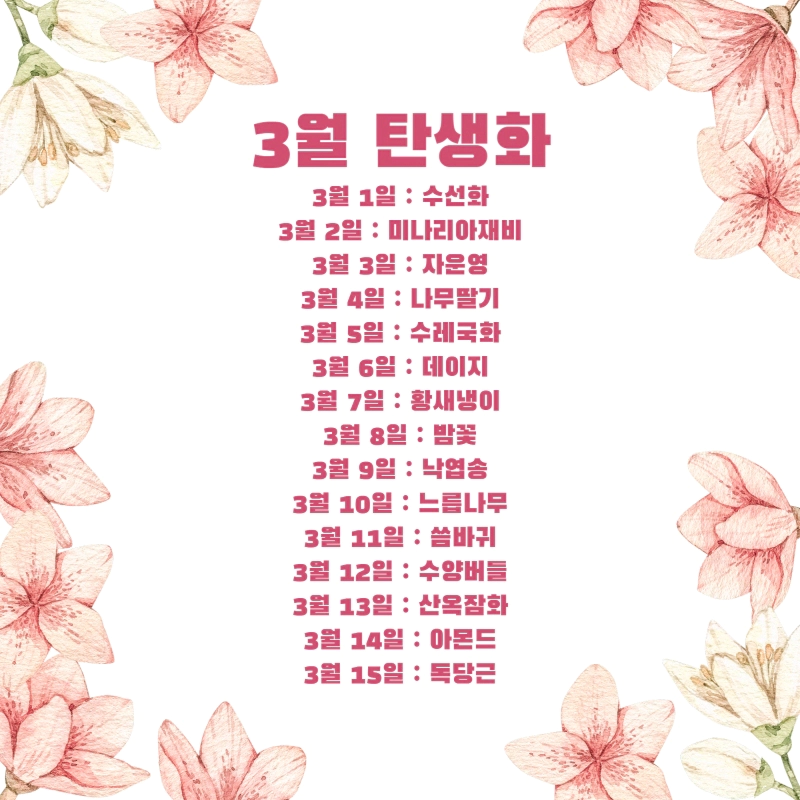 생일 축하 꽃말 3월 탄생화 (3월 1일-31일 날짜별 생일 꽃)