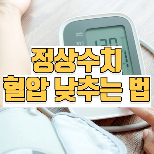 혈압 정상수치