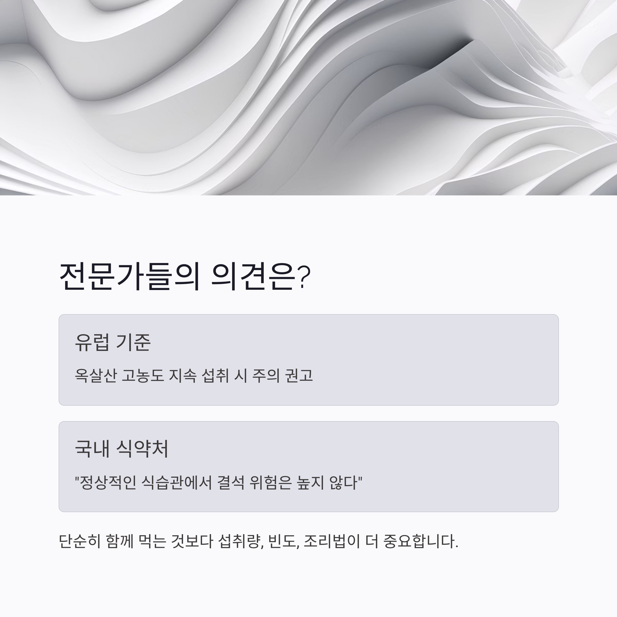 전문가들의 의견은?