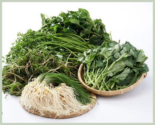 봄 제철 음식 종류