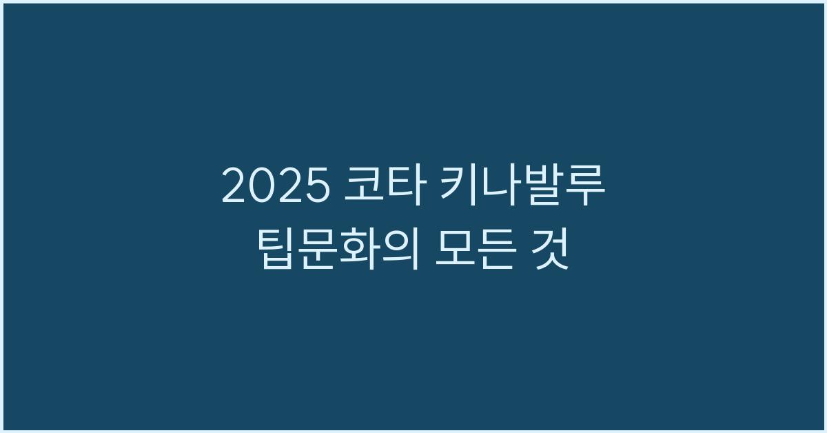 2025 코타 키나발루 팁문화