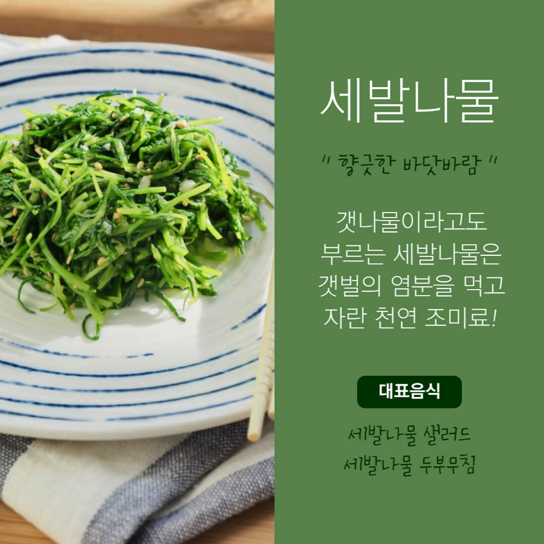 봄 제철음식 7가지