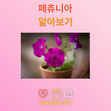 페츄니아 꽃말 및 탐구