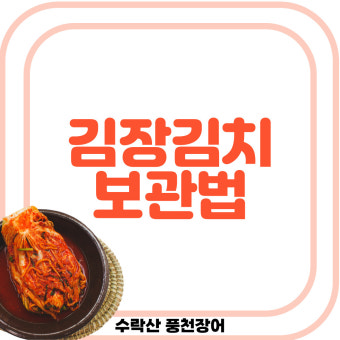 딤채 김치냉장고 김장김치 보관법