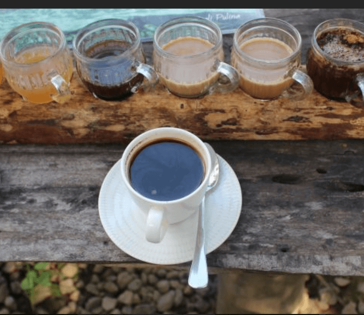 발리 우붓 여행