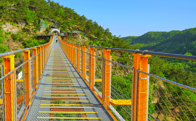 월영산 출렁다리