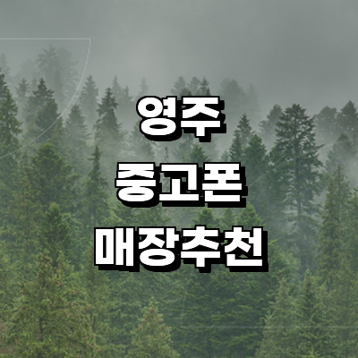 영주시 중고폰