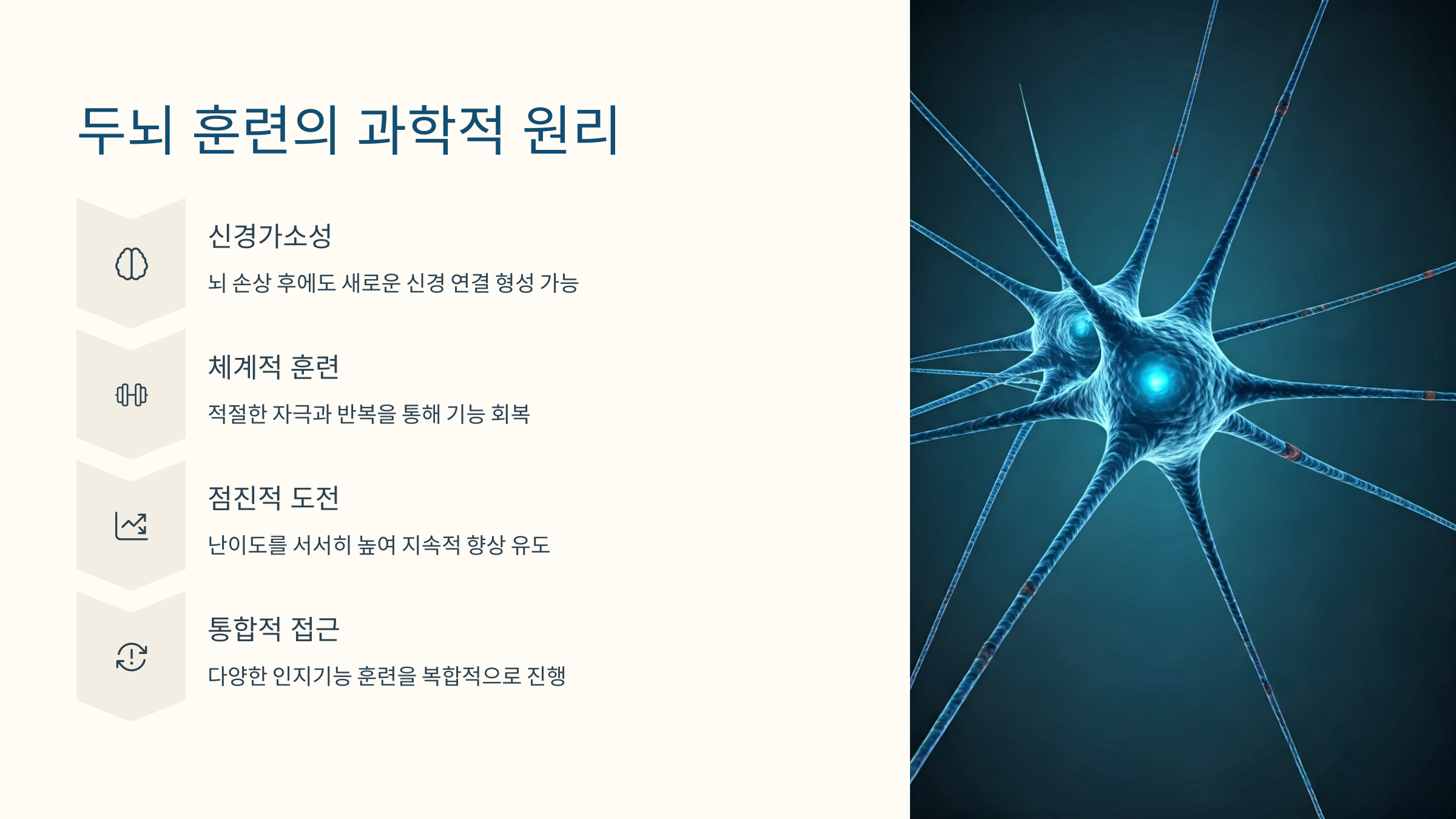 뇌종양 두뇌 훈련 과학적 원리