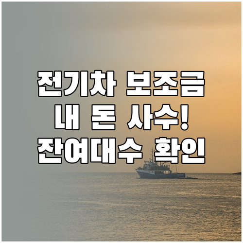 무공해차 통합누리집 활용 전기차 보조..