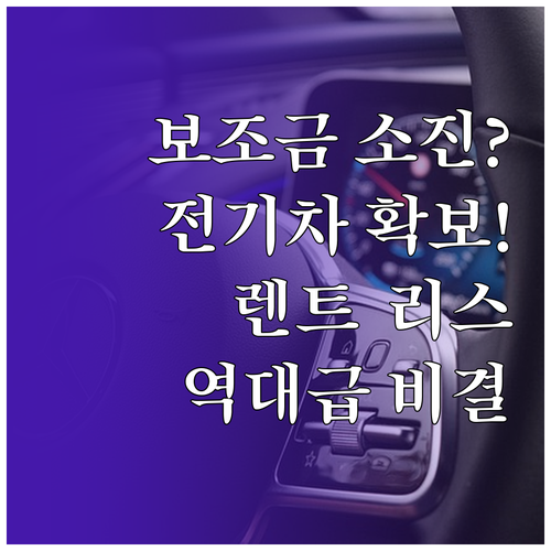 전기차 보조금 소진 걱정 없는 장기렌..