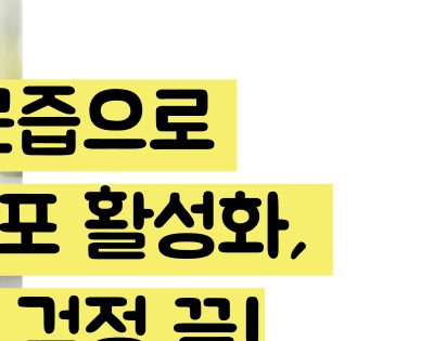 레몬즙 효능