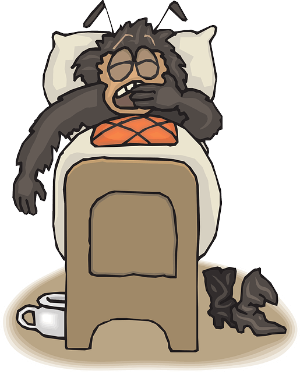 빈대 출몰 지역 확인 &lt;빈대 현황판: 빈대보드&gt;