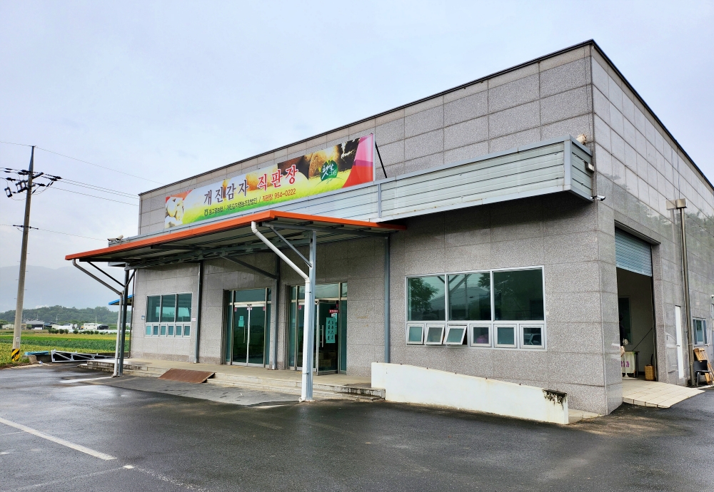 고령 개진감자직판장 개장, 개진감자영농조합법인