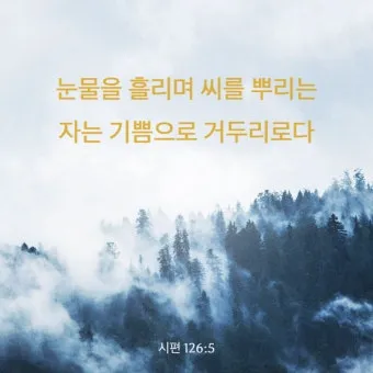 시편 5장 3절 읽기 - 여호와여 아침에 주께서 나의 소리를 들으시리니 아침에 내가 주께 기도하고 바라리이다_18