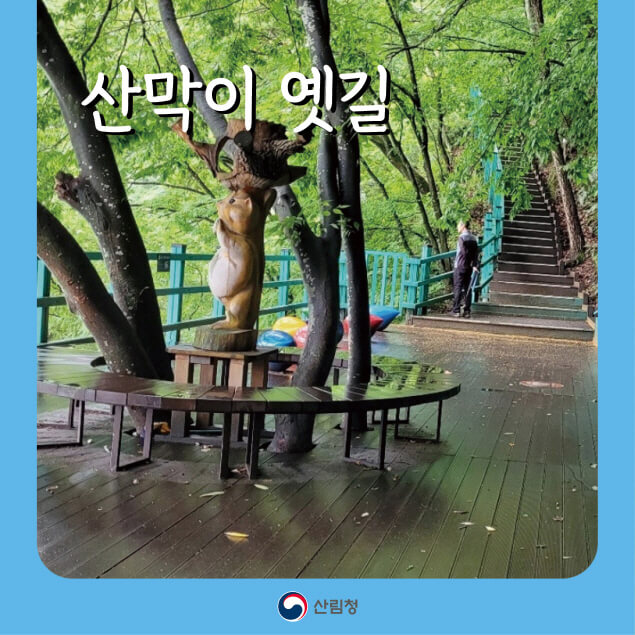 [명품숲길 50선] 출렁다리부터 감성 포토존까지, 괴산 산막이 옛길 사계절 걷기여행