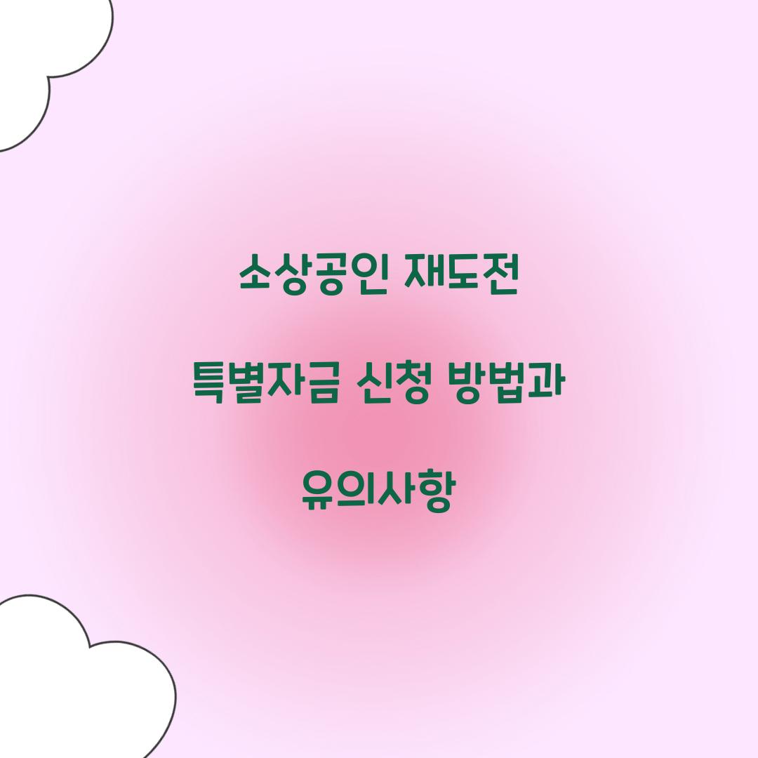 소상공인 재도전 특별자금 신청