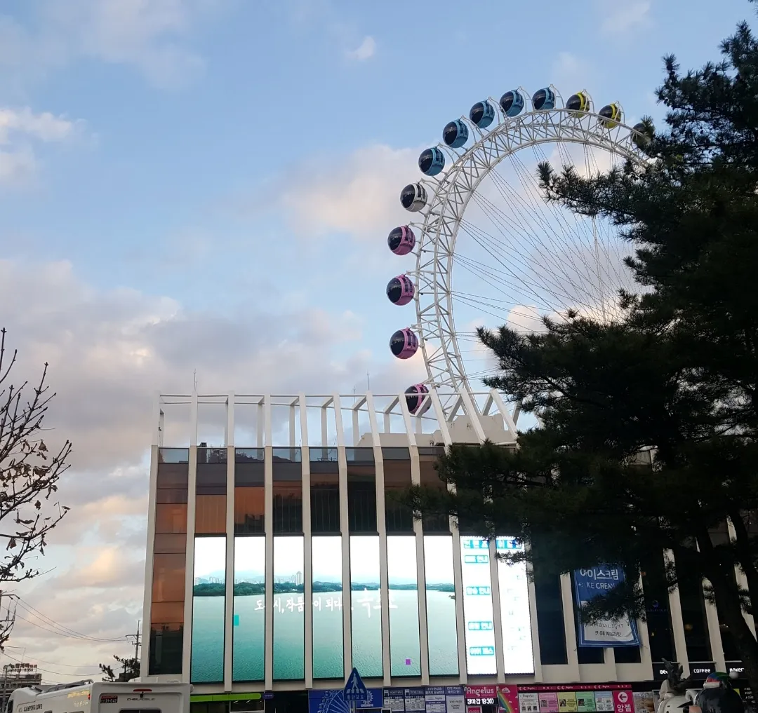 속초해수욕장-대관람차모습-푸른하늘-소나무