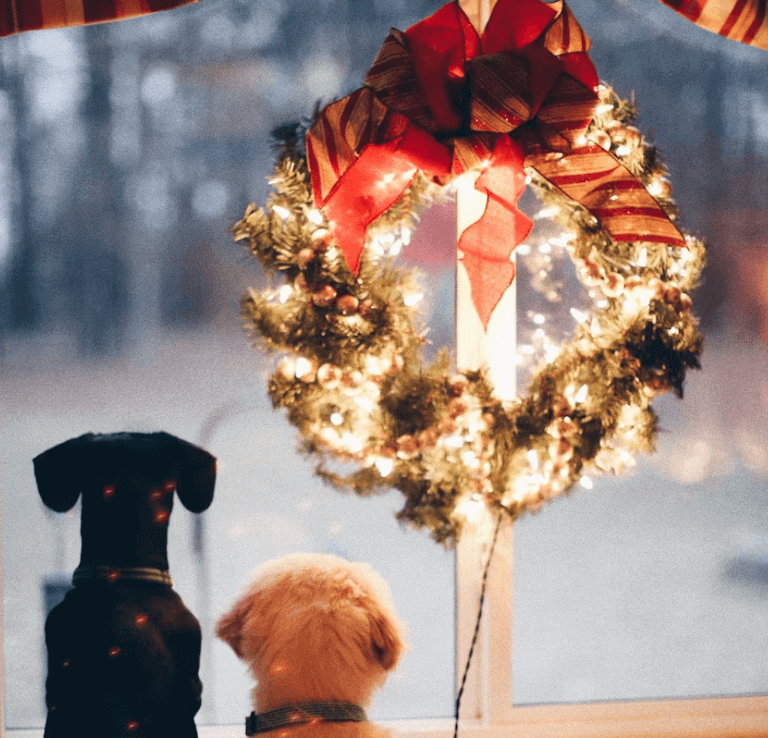 교보생명 크리스마스 이벤트