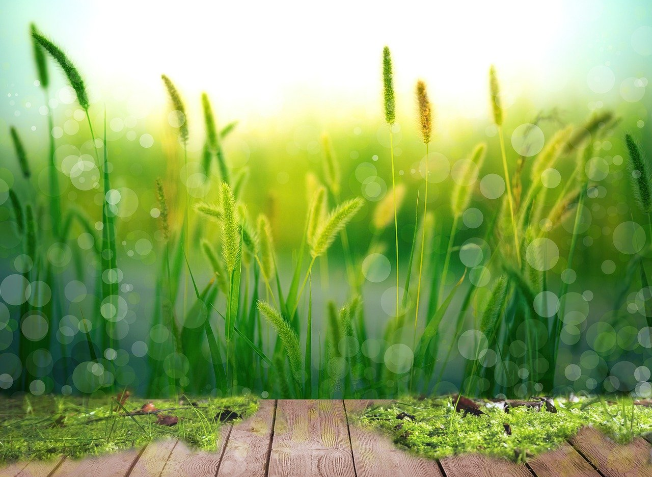 감정이 이끄는 삶 관련 이미지