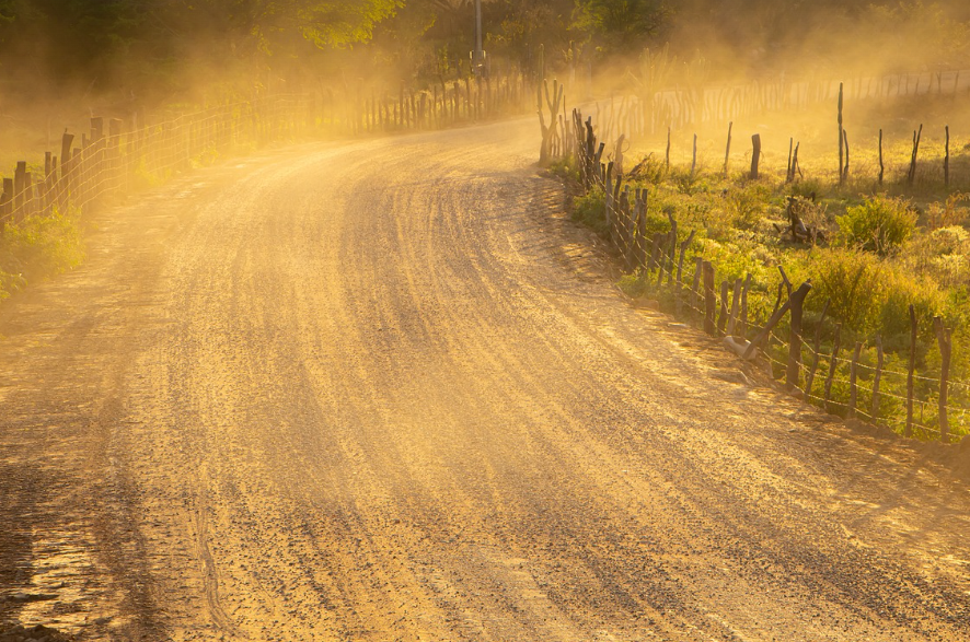 환경 독소와 건강 (미세먼지, 플라스틱, 유해 화학물질)