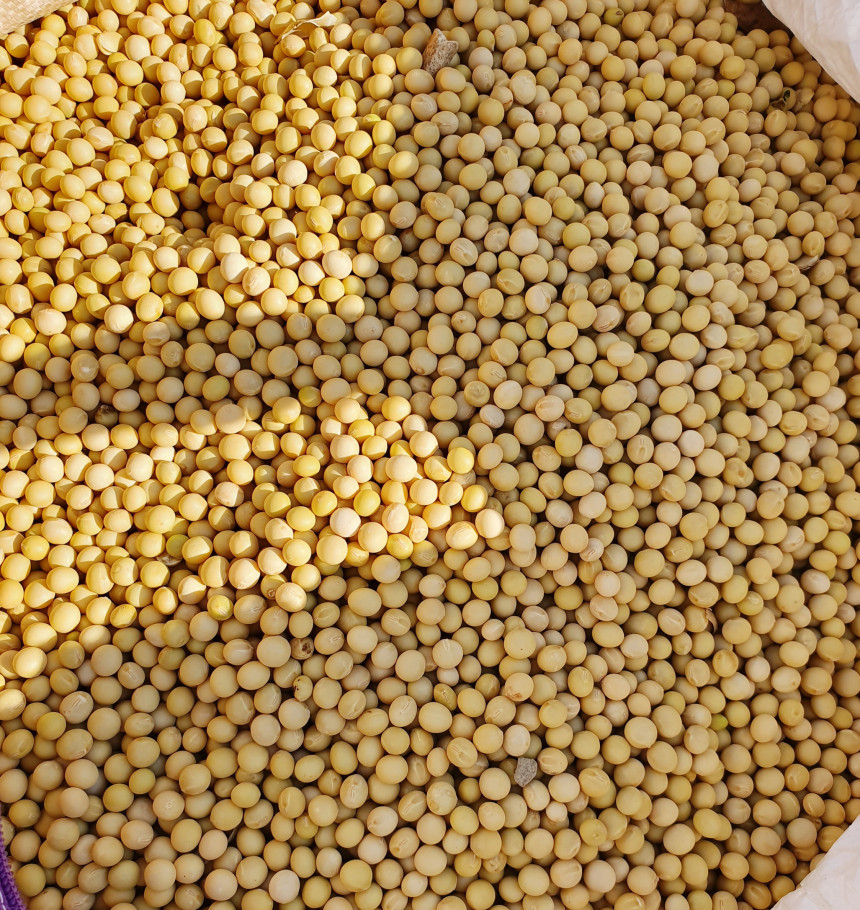 생방송오늘저녁 경북 문경 직접 재배한 콩과 고추로 만든 100% 국내산 재래식 된장 고추장 전국 택배 온라인 전화 주문 추천