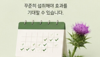 밀크씨슬 효과와 복용법