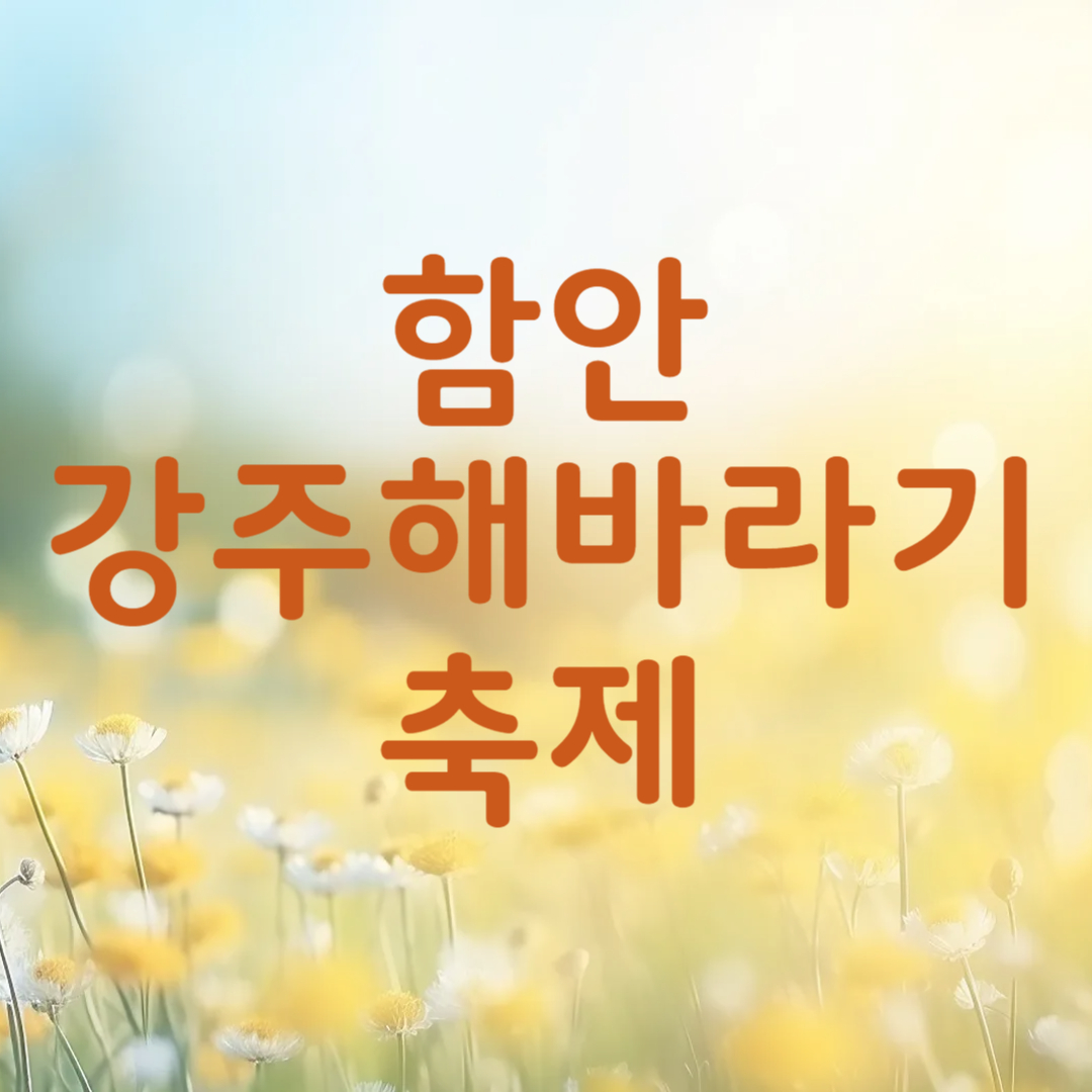함안 강주 해바라기 축제